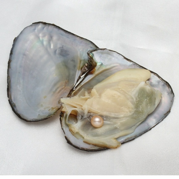 🚨4 LEFT💥OYSTER&PENDANT W/ FRESHWATER PEARL - Picture 3 of 5